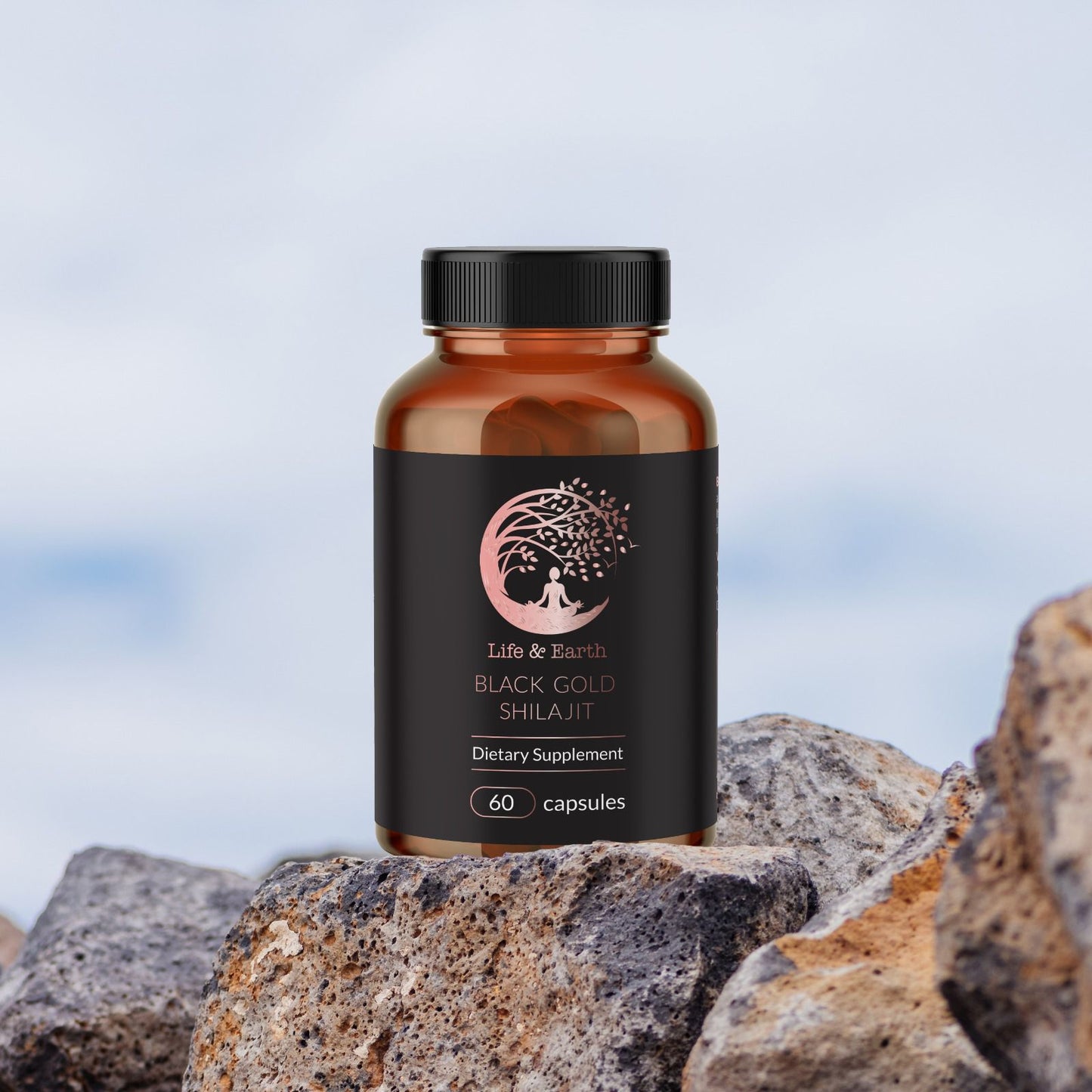 Organic Altai Shilajit 60 capsules